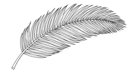Elegant black and white line art illustration of a palm frond