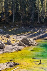 Lakeside serenity with swimmer in clear green water.
