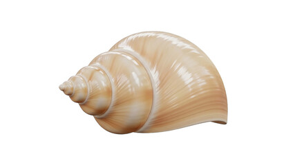 A close-up view of an isolated, elegant seashell revealing a smooth, creamy, and spiral structure.