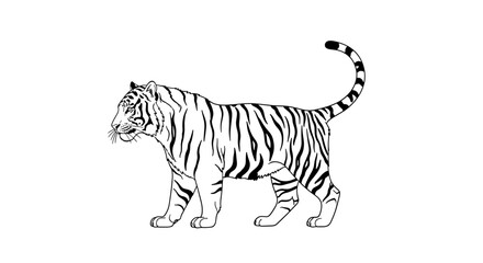Striking Black and White Tiger Illustration Walking Proudly in Profile View