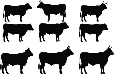 Silhouette illustration of multiple cow and bull shapes, livestock farm animal vector graphic for agriculture, dairy farming, beef industry, and rural designs