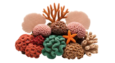 Gardinen Korallentiere Isolated Colorful coral collection, sea marine life nature concept, artistic decoration  © Isolde