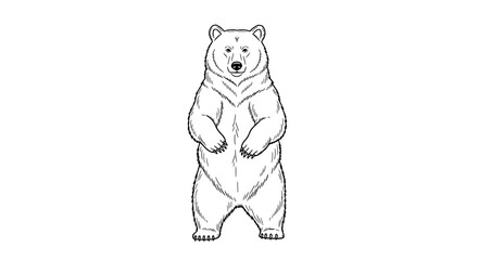 Obraz premium Standing Bear Black and White Line Art on White Background.