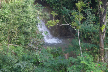 Top view of a waterfall in the middle of a tropical forest. Ecological and environmental concept. For graphic design and banners