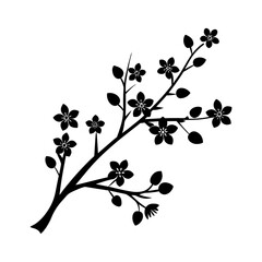 cherry blossom branch vector art