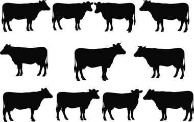 Cow silhouettes collection, standing farm animal vector illustration, black graphic icons for agriculture, rural livestock design, dairy cattle artwork, countryside farming, nature, domestic