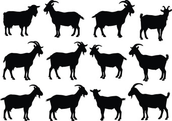 Goat silhouettes collection, standing farm animal vector illustration, domestic livestock black graphic icons, agriculture and countryside farming design elements, nature, dairy goat artwork, rural