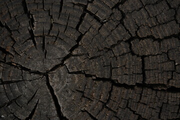 Fototapeta premium wet grey grau brown wood flooring abstract as background, old wooden texture close up as a background, 