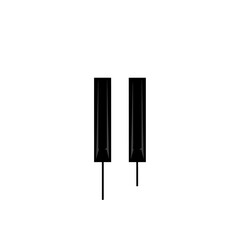 Two Black Piano Keys Isolated on White