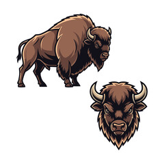 Bison Fullbody and Close-Up Illustration for Branding