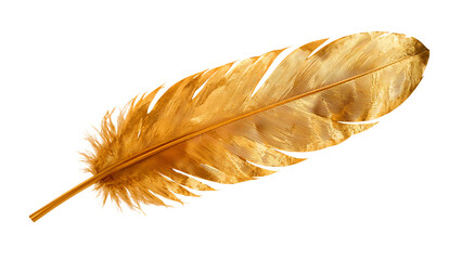 Golden feather isolated on the transparent background, elegant decoration element, luxury nature concept, metallic shine, soft texture, minimalist style