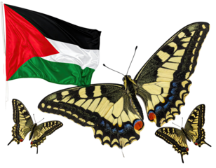 Palestinian flag with butterflies