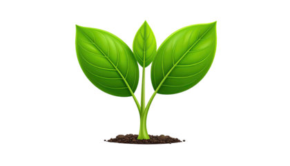 A stylized illustration of a young plant with three leaves
