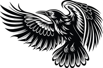 Isolated monochrome raven soars gracefully with outstretched wings in detailed black line art