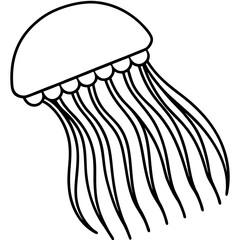 Comb Jelly line art vector