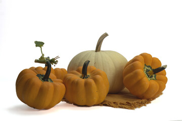 Orange acorn winter squashes and a white pumpkin.  The subject is centrally located on a white background with some blank space at the top. 