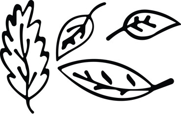 Art & IllustrationLeaves icon set.Environmental Leaves, natural, eco, vegan,vector symbol logo illustration line editable stroke design style isolated on white background and Natural pictogram icon se