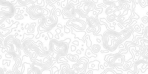 white topography wave spiral line landscape vector curve grid relief geography map discovery texture background.