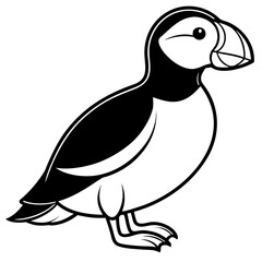 Puffin line art vector