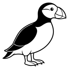 Puffin line art vector