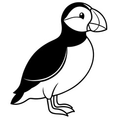 Puffin line art vector