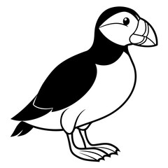 Puffin line art vector