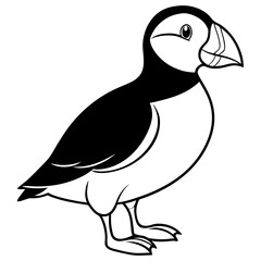 Puffin line art vector
