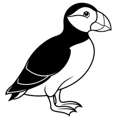 Puffin line art vector