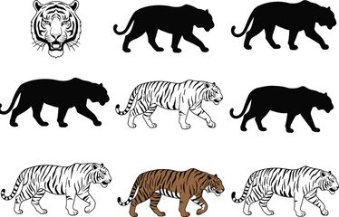 Fototapeta premium Tiger silhouette and vector illustration collection, wild animal graphic design, big cat walking poses, jungle wildlife symbol, predator art elements, striped tiger icons