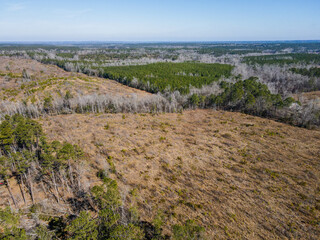 Aerial landscape Grovetown nature in winter after Hurricane Helene in Appling Augusta Georgia