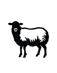 vector illustration of sheep
