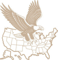 Iconic American Bald Eagle Spreading Wings Over USA Map Illustration