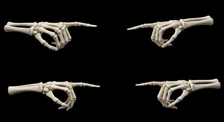 Skeleton hands pointing