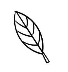 Delicate Leaf in Nature's Embrace: A simple yet elegant leaf outline. A timeless symbol of nature's beauty, ideal for conveying themes of organic growth, freshness, and the environment.