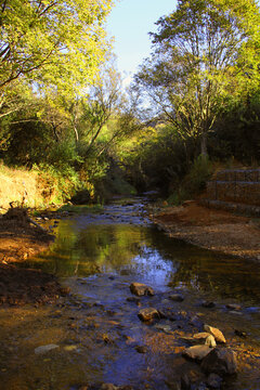 Photo of  a stream in the Vaal River late afternoon between green trees . 