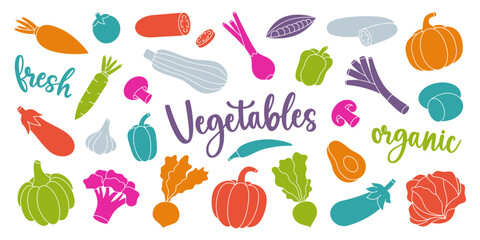Vegetables set. Healthy eating. Organic vegetables design for farm company or food packages design. Vector illustration.