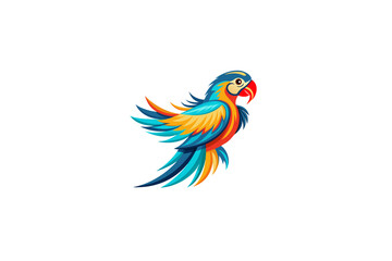 parrot on white background