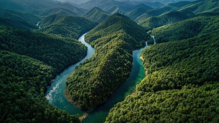 Aerial view, winding river through emerald forests, sunlit reflections