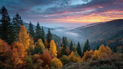 Golden autumn treetops, fiery colors, serene mist elevating as day breaks