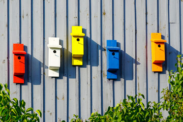 Row of colorful birdhouses on wooden wall, bright red, white, yellow, blue, orange boxes outdoors