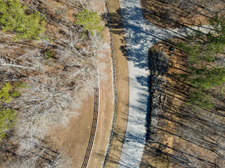 Aerial top down of storm damage forest winter after Hurricane Helene in Appling Augusta Georgia