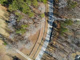 Aerial top down of storm damage forest winter after Hurricane Helene in Appling Augusta Georgia