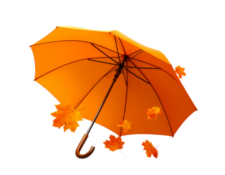 Vibrant Orange Umbrella with Autumn Leaves Floating, Transparent PNG