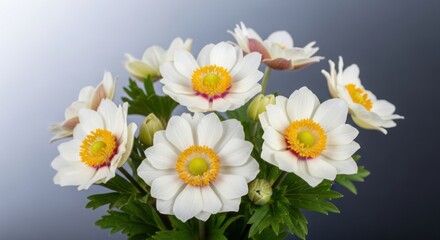 Obraz premium Fresh White and Yellow Flowers in a Vase