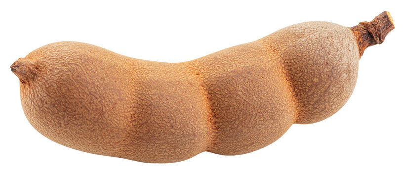 closeup of unpeeled raw tamarind isolated on white background