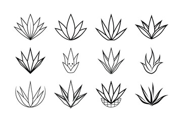 wheat ears vector illustration patten flower bundle