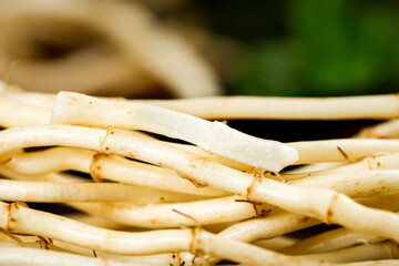 Fresh Bamboo Shoots Bundle with Roots from Guizhou China - Traditional Asian Vegetable Ingredient