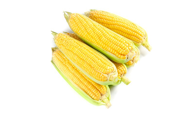 Fresh Sweet Yellow Corn on the Cob Ears with Green Husks Isolated on White Background