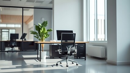 A clean minimalist office interior with an ergonomic chair and potted plant.
