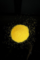 Yellow Millet Grains Scattered on Black Background - Nutritious Breakfast Ingredient for Traditional Chinese Congee